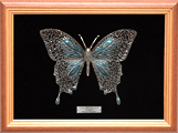 Blue Butterfly Filigree Brooch
